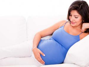 孕婦可以吃雞嗎?孕婦食譜推薦