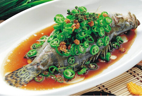 桂魚多少錢一斤?桂魚怎么挑選