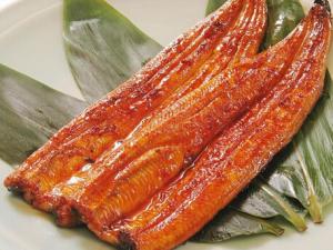 鰻魚多少錢一斤?鰻魚如何挑選