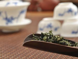 鐵觀音屬于什么茶？如何鑒別鐵觀音？