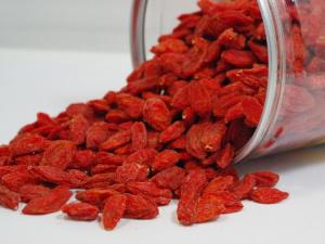 枸杞能提高性功能嗎?枸杞怎么吃壯陽?