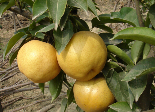 ÿ��1������Խ���đ�̴�-����ĺ�̎