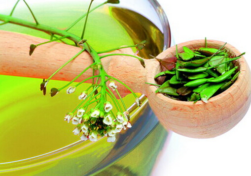 常喝綠茶的老年人獨(dú)立性更強(qiáng)