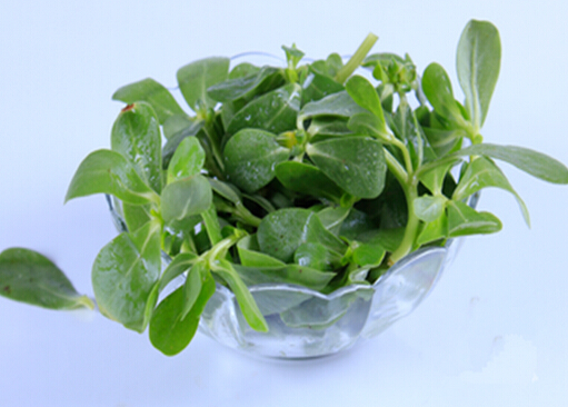 �������ô�ԲŽ������ԛ������÷ſ�����