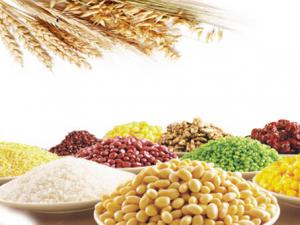 煮粥怎么才有香味？加點堅果味道更好