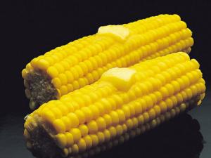 烤玉米有營養嗎?玉米的吃法大PK