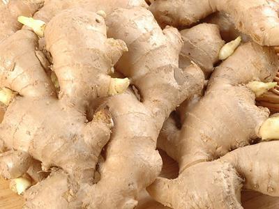 �������ĺ�̎�c��̎����ʲô�f�����}���ĳԽ�