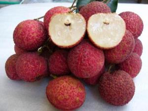 怎樣吃荔枝不上火?吃荔枝不上火的方法