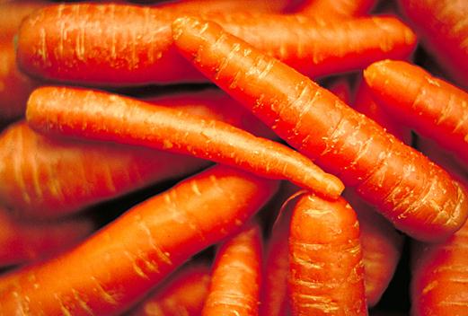 ����ʳ���B(y��ng)��������12�Nʳ��׌�������h(yu��n)������ʢ�������}��