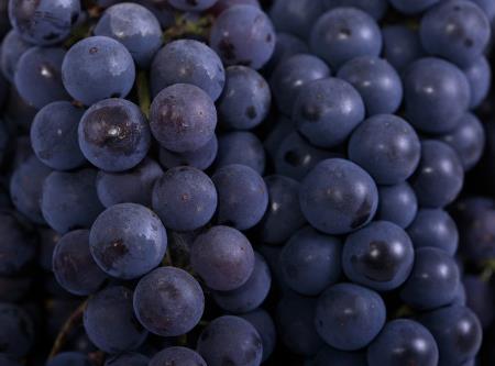 晚上吃葡萄會發胖嗎?多吃葡萄會長胖嗎