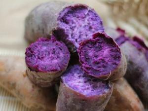 吃紫薯能抗癌嗎?花青素抗腫瘤仍缺乏科學依據