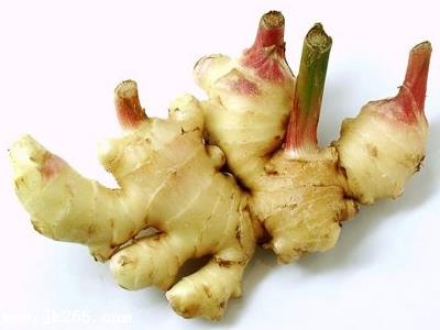 生姜發(fā)芽了還可以吃嗎?發(fā)芽的生姜能吃嗎