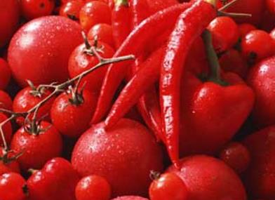 ��Լtɫʳ�ﱣ�o��Ѫ�ܡ��a�Ĳ�����������