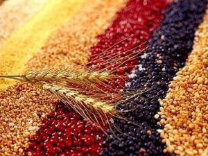 春季如何調(diào)理腸胃?清淡粗糧搭配養(yǎng)胃藥膳