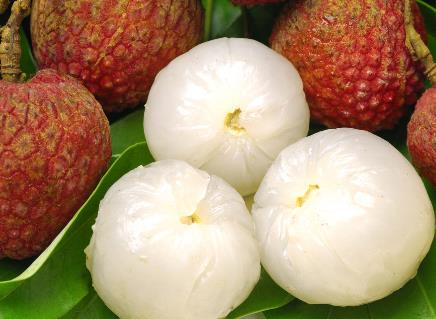 四月春天時令水果:荔枝的營養(yǎng)價值