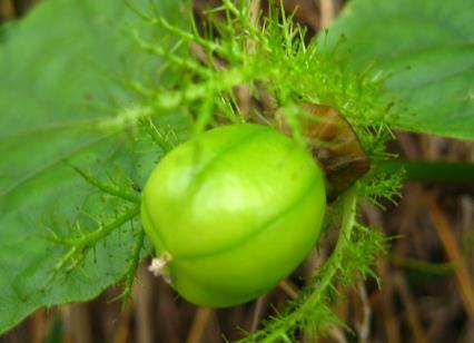 �������ô�ԣ����������ע�����