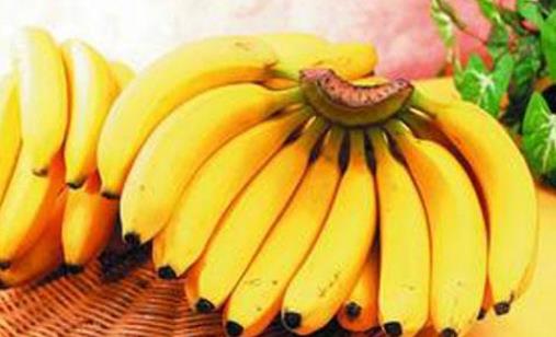 香蕉是寒性水果嗎?哪些人不宜吃香蕉?