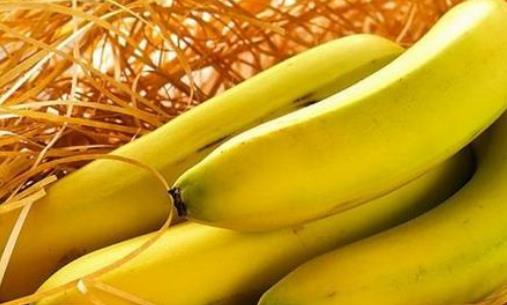 經期可以吃香蕉嗎?早上吃香蕉好嗎?