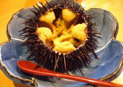 新鮮海膽怎么直接吃?生吃海膽有寄生蟲嗎?