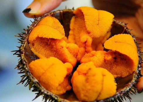 海膽生吃是什么味道的?海膽怎么吃比較好?