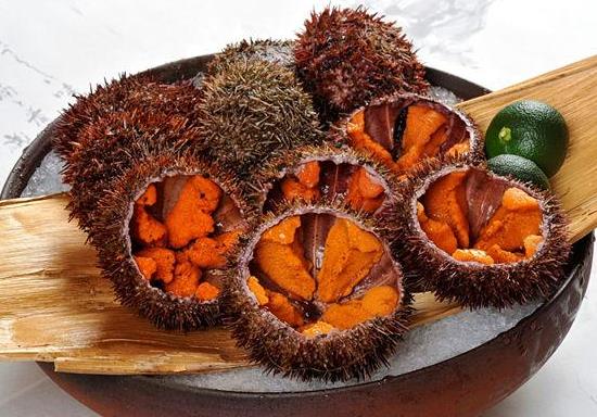 新鮮海膽怎么直接吃?生吃海膽有寄生蟲嗎?