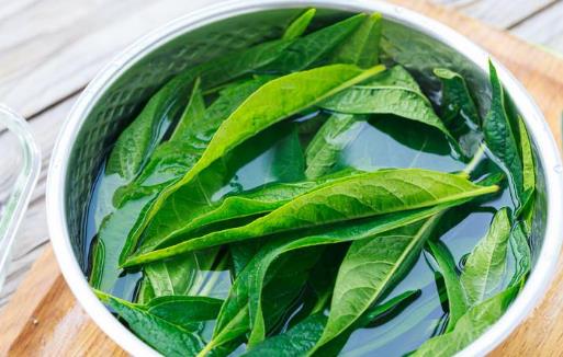 芝麻葉有哪些營養價值?芝麻葉有哪些作用?