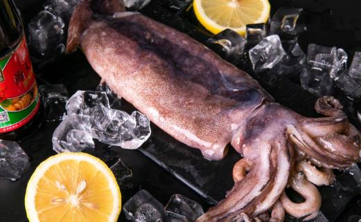 魷魚(yú)屬于發(fā)物嗎?哪些人不宜吃魷魚(yú)?