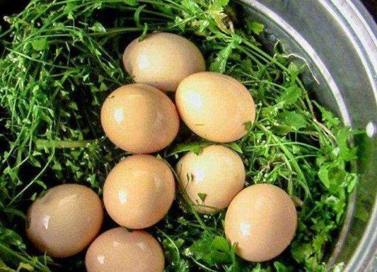 薺菜煮雞蛋需要敲破嗎?哪些人不能吃薺菜煮雞蛋?