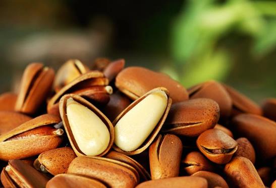 松子苦了還能吃嗎?吃松子有什么要注意的嗎?