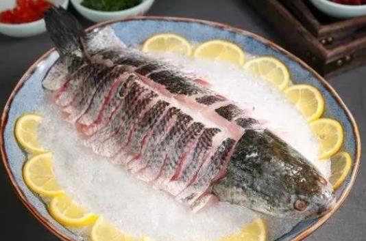 黑魚籽可以吃嗎?吃黑魚對(duì)傷口愈合有好處嗎?