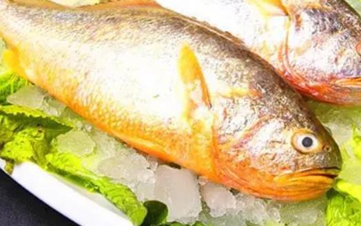 糖尿病患者可以吃黃花魚(yú)嗎?吃黃花魚(yú)有哪些好處?