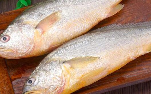 糖尿病患者可以吃黃花魚(yú)嗎?吃黃花魚(yú)有哪些好處?