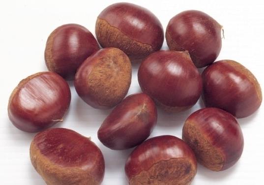 板栗是要冷凍還是冷藏?涼了的板栗放微波爐要熱多久