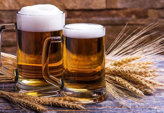 啤酒和白酒哪個更傷身體?為什么喝啤酒會拉肚子喝白酒就不會