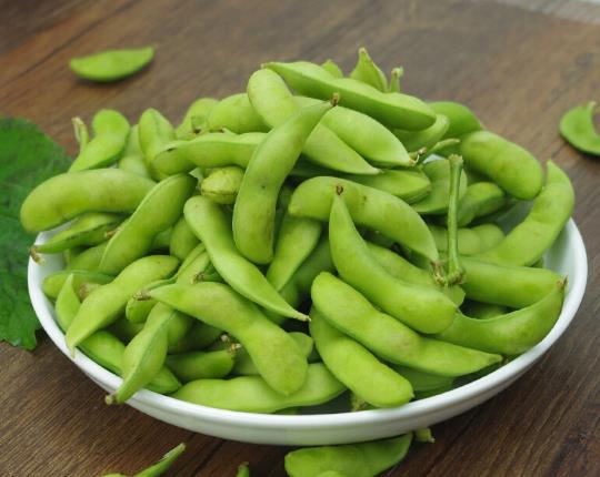 毛豆發芽了還能做什么嗎?吃了生毛豆會中毒嗎?