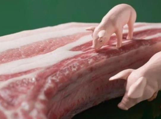 解凍豬肉可以用開水煮嗎?肉來回解凍好不好?