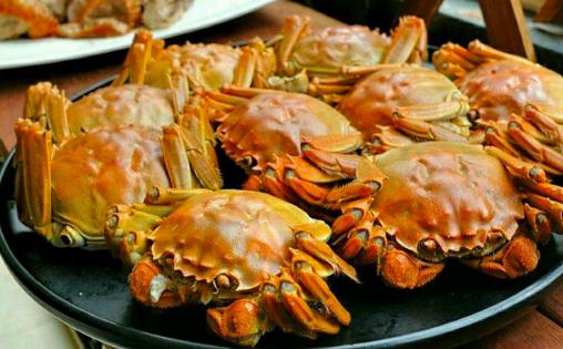 梭子蟹和大閘蟹哪個寒性大 大閘蟹和梭子蟹的區別