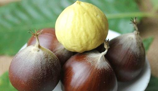 微波爐熱板栗會爆炸嗎 高壓鍋煮板栗要放多少水