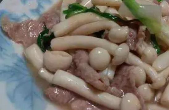 經期可以吃海鮮菇嗎?海鮮菇不宜和什么一起吃?