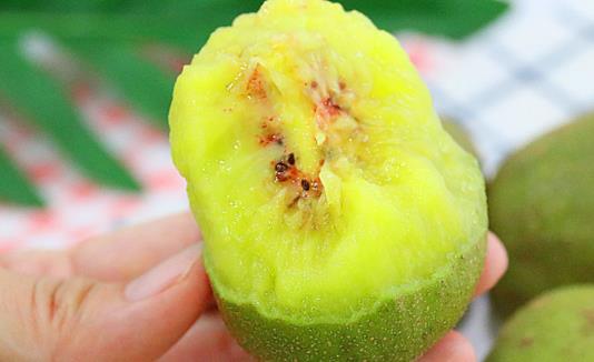 獼猴桃壞了一點點其他部位可以吃嗎 獼猴桃壞了的癥狀