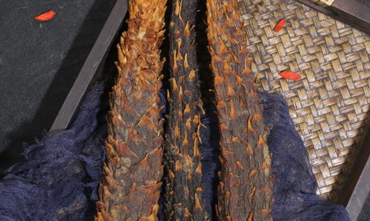 肉蓯蓉能生吃嗎 肉蓯蓉怎么吃效果最佳