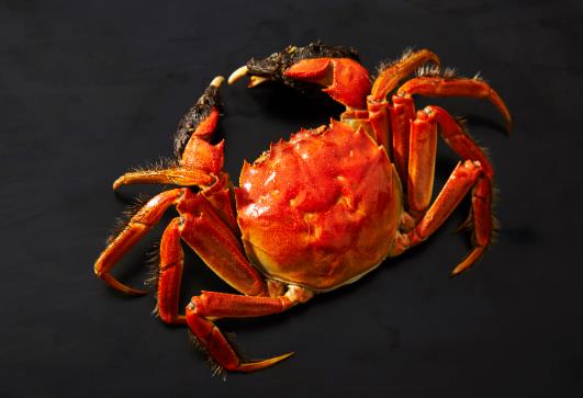 一次吃四個大閘蟹多嗎?大閘蟹一次吃了5只會有什么后果