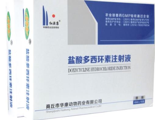 多西環素治痤瘡副作用大嗎?鹽酸多西環素片治痘痘一天吃幾次