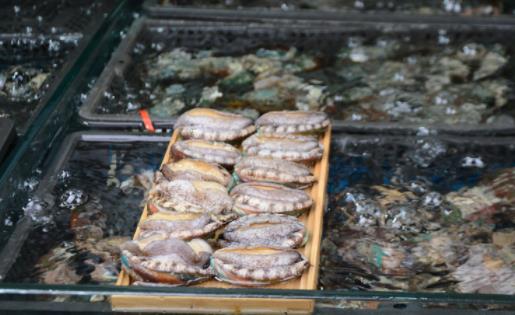 新鮮鮑魚怎樣保存時間長 如何判斷鮑魚死了