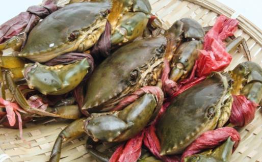 吃完螃蟹可以吃柚子不 螃蟹和柚子一起吃了咋辦