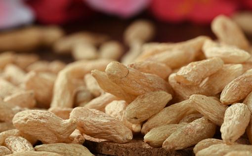 麥冬來姨媽可以喝嗎 麥冬可以和什么一起泡水喝