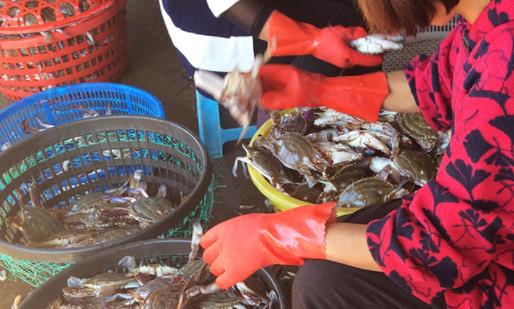 從冰箱里拿出來的螃蟹可以直接吃嗎 螃蟹蒸到什么樣才算熟