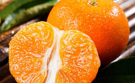 臍橙對咳嗽有幫助嗎 臍橙吃多了有什么壞處