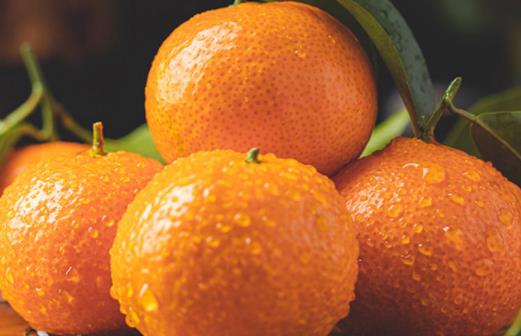 橙子會讓皮膚變黃嗎 橙子哪個品種最好吃