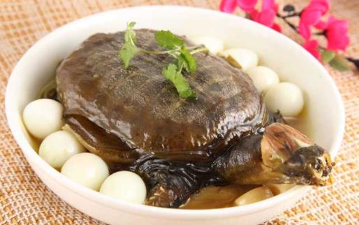 甲魚吃了會過敏嗎 甲魚吃了會上火嗎